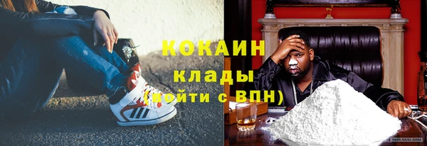 соль ск Алексин