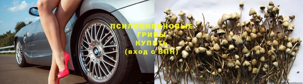соль ск Алексин