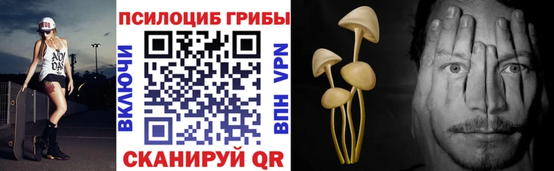 Псилоцибиновые грибы мухоморы  продажа наркотиков  Нижний Тагил 