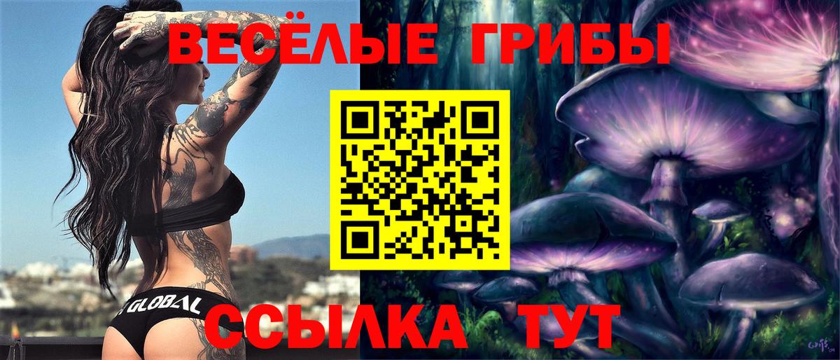 Галлюциногенные грибы ЛСД Нижний Тагил