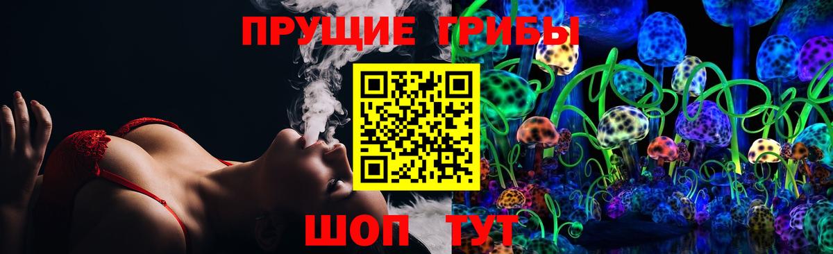 Нижний Тагил  Псилоцибиновые грибы мухоморы  купить  цена  Вход с VPN 